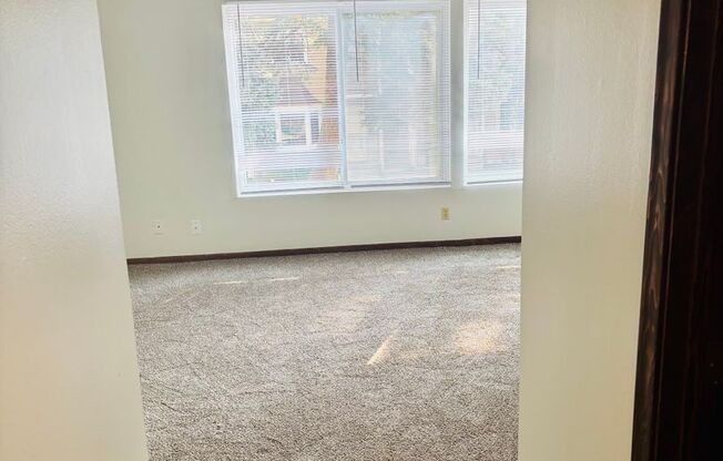 Studio, 1 bath, 507 sqft, $862, Unit 213