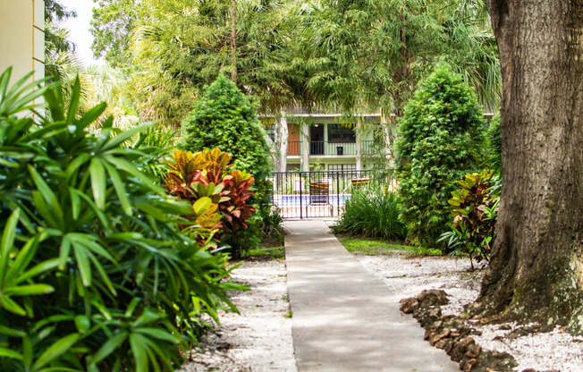 Courtyard Walking Path at Fernwood Grove Apartments, Tampa, 33614