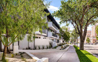 A tree-lined street with a white building on the left.