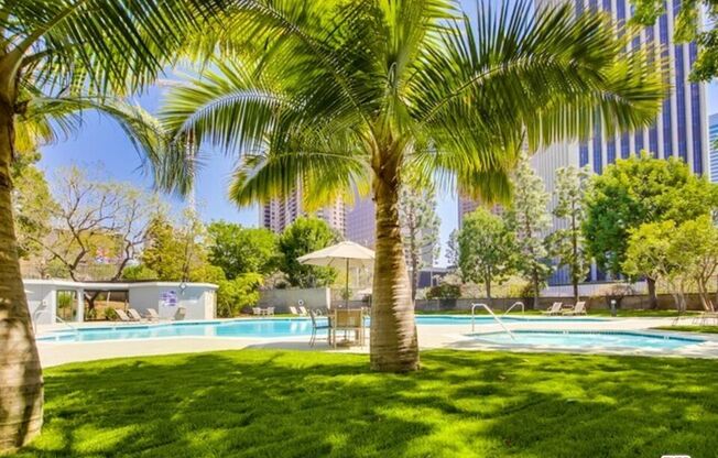 Studio, 1 bath, 481 sqft, $2,250, Unit 1209