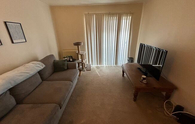 1 bed, 1 bath, $850, Unit 113