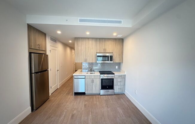 1 bed, 1 bath, $3,000, Unit 419