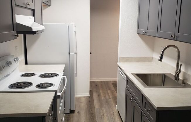 1 bed, 1 bath, 589 sqft, $1,295, Unit 4