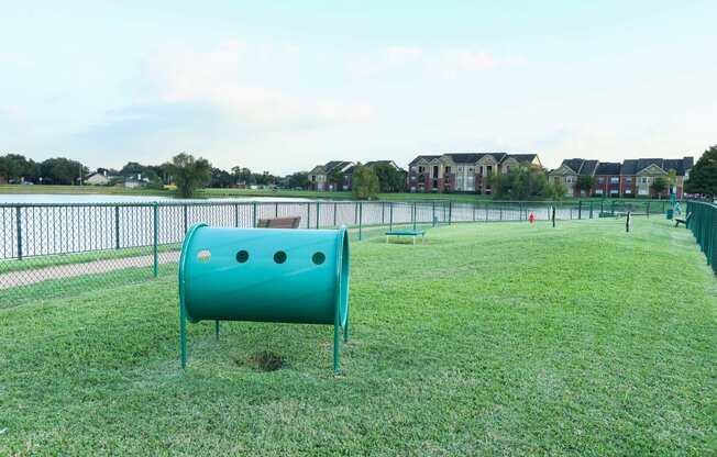 a dog park with a lake in the background