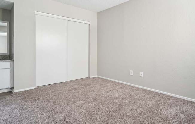 A room with a carpeted floor and a white closet.
