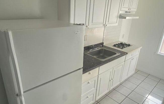 Studio, 1 bath, 255 sqft, $1,200, Unit 217