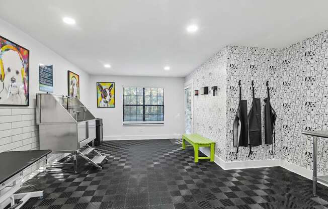 Woodmere Trace Apartments in Duluth, GA Pet Spa