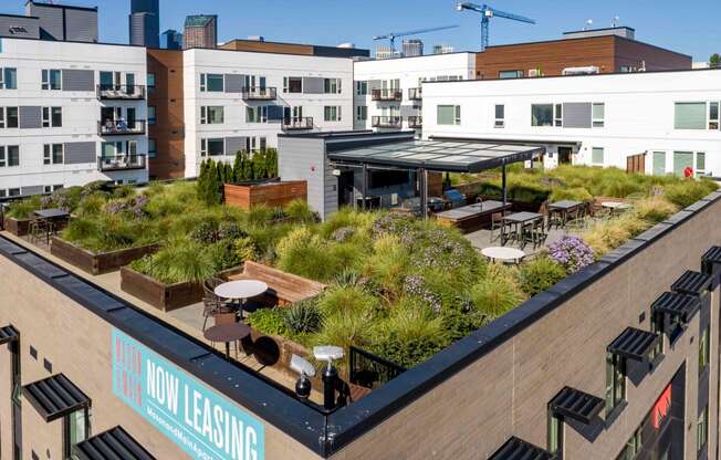 a roof terrace with plants on top of a building