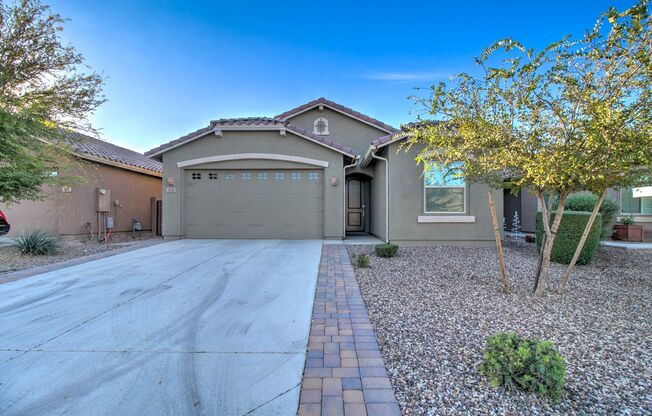 5 Bedroom + 3 Bathroom + 2 Car Garage + Single Level Remodeled Home in The Parks in San Tan Valley