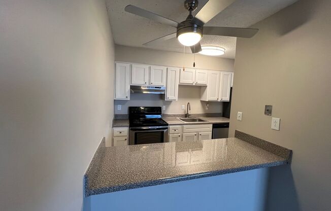 1 bed, 1 bath, 750 sqft, $950, Unit 310-02