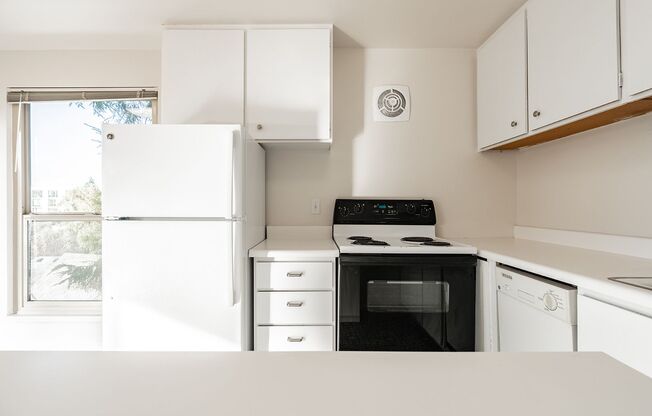 1 bed, 1 bath, 447 sqft, $1,595, Unit 14