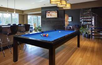 Game Room with Billiards