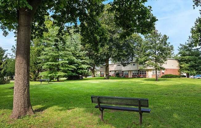 Gallery - Community 3