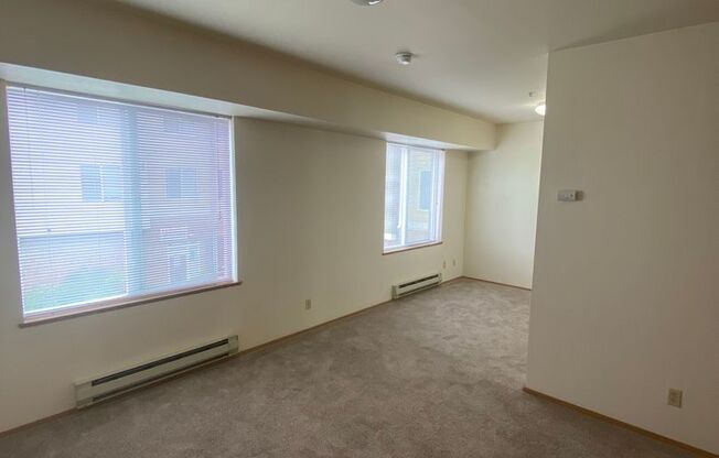 Studio, 1 bath, 462 sqft, $1,295, Unit 225