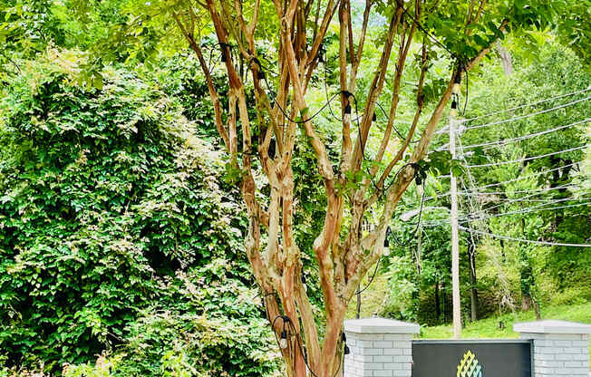 Entrance sign at Arbor Pointe at Hillcrest, Arkansas