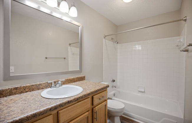 a bathroom with a sink toilet and tub and a mirror