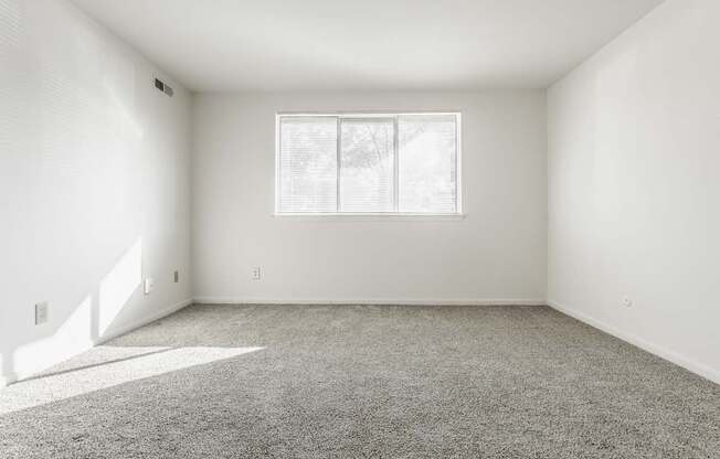 an empty room with carpet and a window