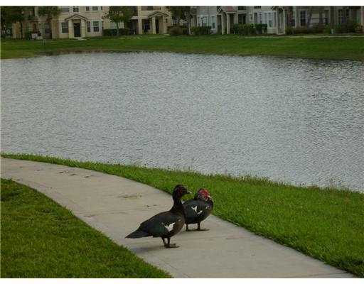 3/2 Lake available in North Lauderdale