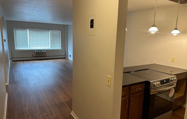 1 bed, 1 bath, 700 sqft, $1,295, Unit 309(R)