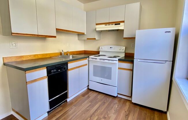 1 bed, 1 bath, 500 sqft, $1,495, Unit 215