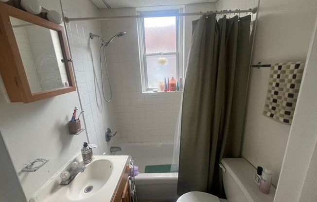 1 bed, 1 bath, 396 sqft, $1,095, Unit A106