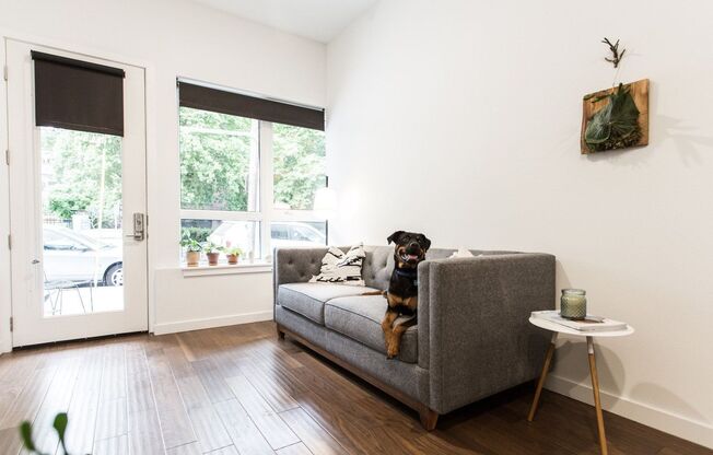 1 bed, 1 bath, 593 sqft, $1,650, Unit 109