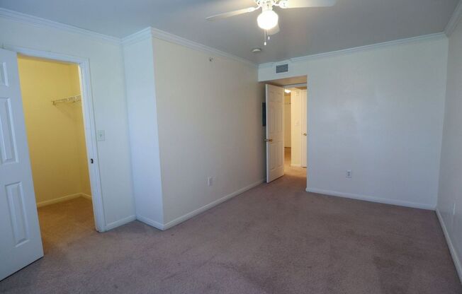 1 bed, 1 bath, $1,250