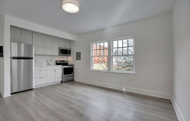 Studio, 1 bath, 270 sqft, $1,095, Unit 111