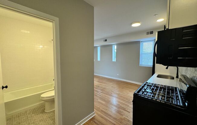 Studio, 1 bath, $1,295, Unit 310