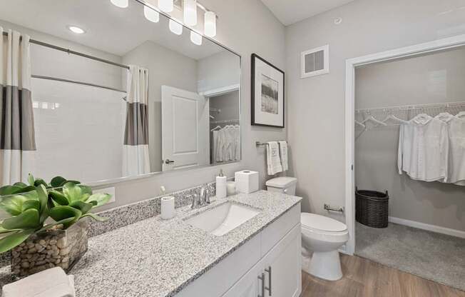 A bathroom with a large mirror, a sink, a toilet, and a plant.
