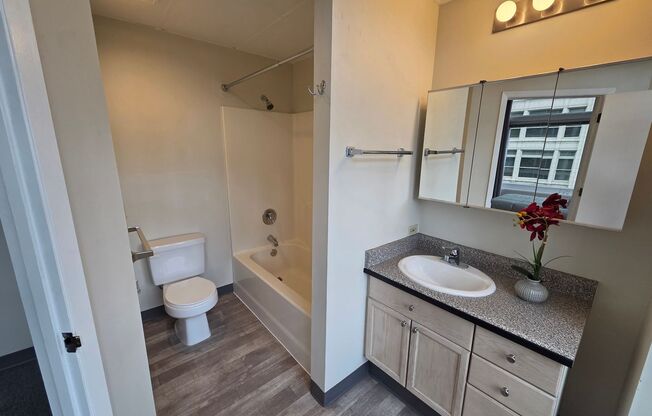 1 bed, 1 bath, 458 sqft, $1,520, Unit 704