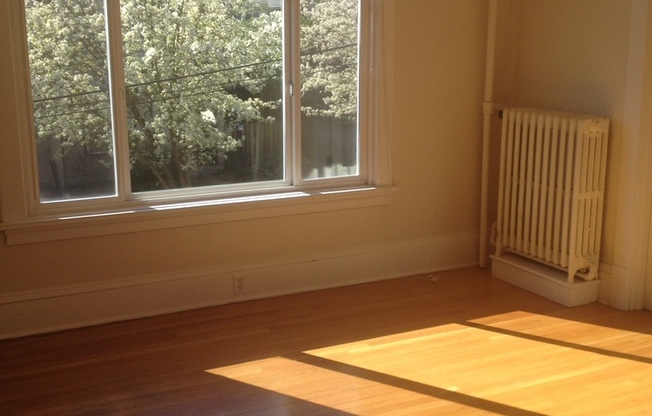 Studio, 1 bath, 300 sqft, $1,395, Unit 402