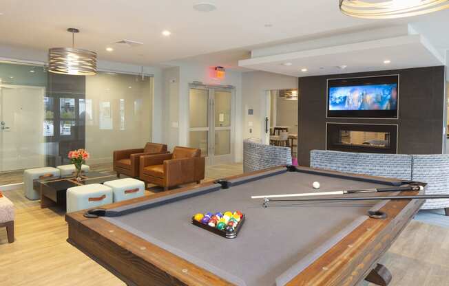 Community room billiards and TV