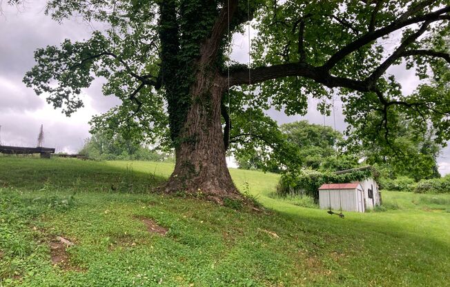 Charming 2 Bedroom/1.5 Bathroom Home in Cockeysville, MD!