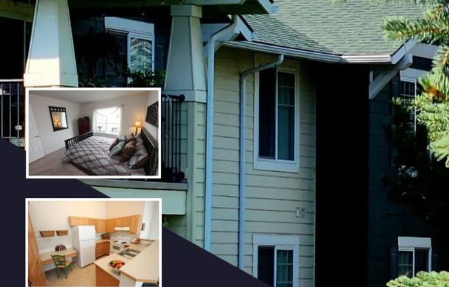 Selkirk Lodge Apartments