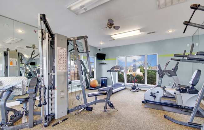 Gym and Fitness Center