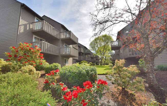 a landscaped yard with red flowers in front of apartment buildings