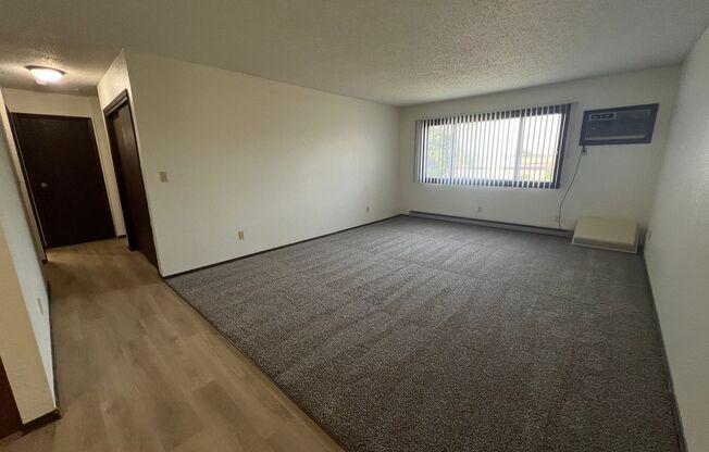 1 bed, 1 bath, $690, Unit 306