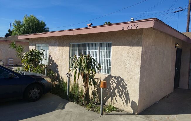 Beck Morgan 8609-11½ Rose