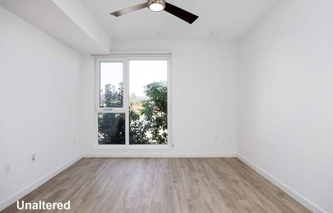 A room with a ceiling fan and a window overlooking trees.