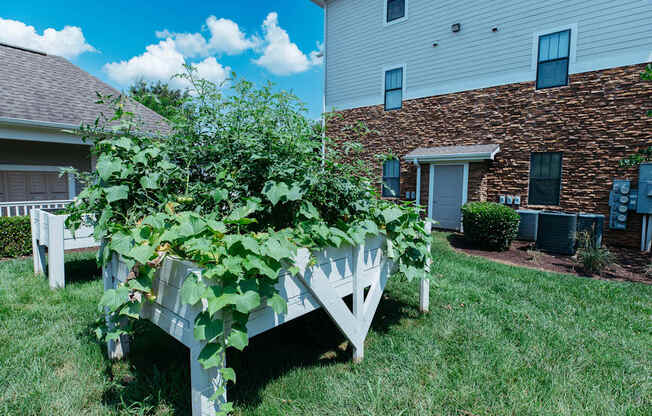 A white bench with green plants growing on it in front of a house.