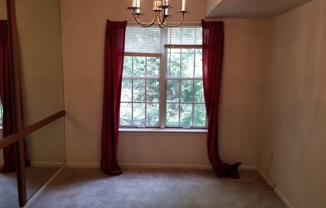 2 beds, 1 bath, $1,595