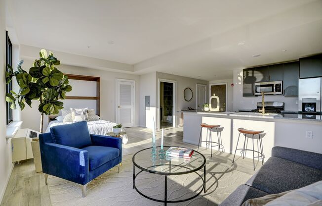 Studio, 1 bath, 710 sqft, $1,810.42, Unit 214