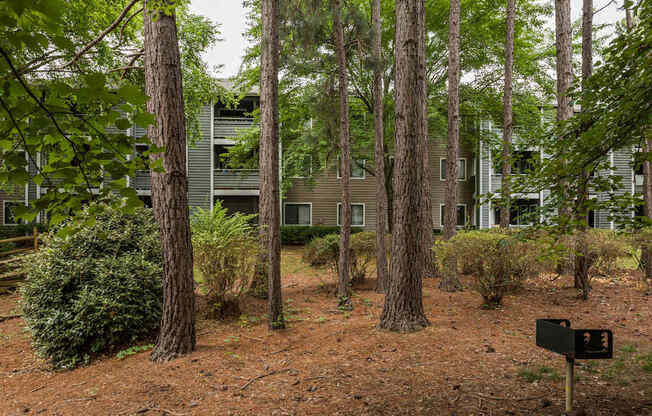 A black mailbox is in the foreground of a wooded area with a building in the background.
