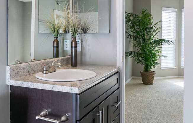 Granite Bathroom Countertop with Wood Style Flooring