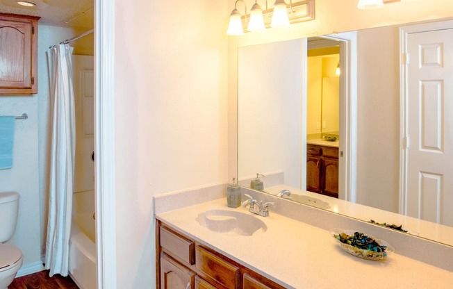 Model bathroom with large vanity and a mirror at Chisholm Place Apartments in Plano, TX