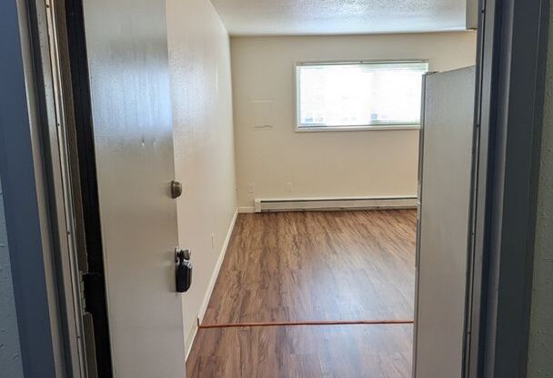 Studio, 1 bath, 350 sqft, $925, Unit 203