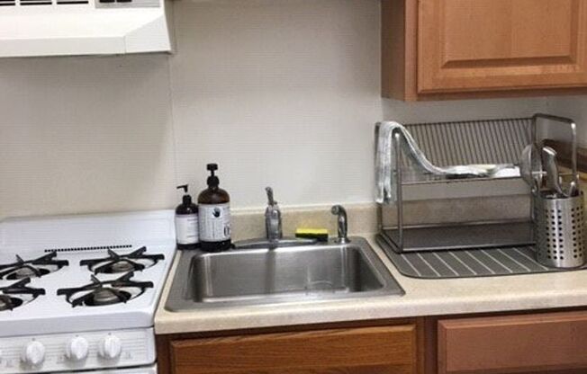 Studio, 1 bath, 500 sqft, $1,149, Unit 107E-1F