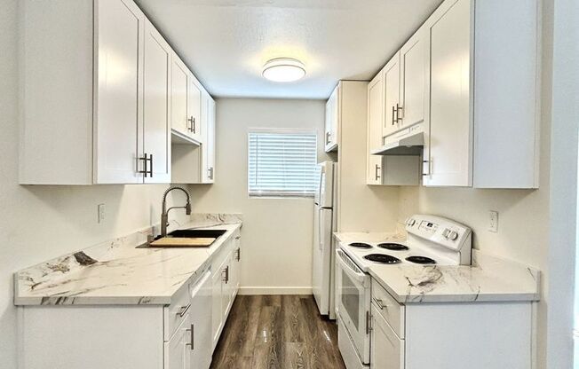 1400 San Carlos Avenue