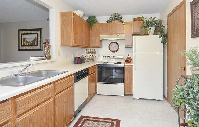 Kitchen with Dishwasher and White and Black Appliances